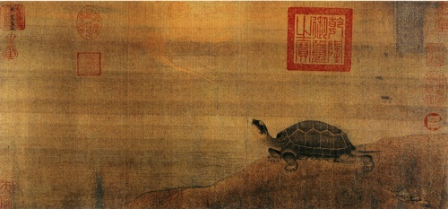 zhan-ziqian-turtle500