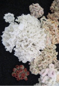 crochetcoral3