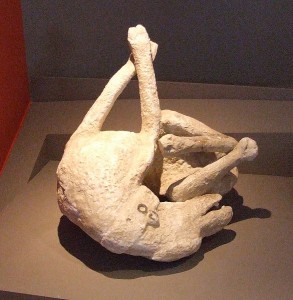 <em>Cast of dog killed in the eruption of Pompeii, 79 AD. Photo by Claus Ableiter</em>