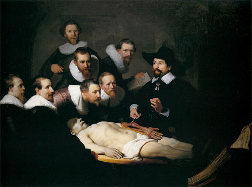 anatomy anatomy