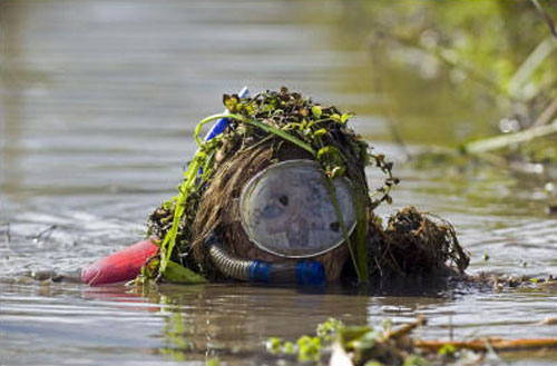 bogsnorkel