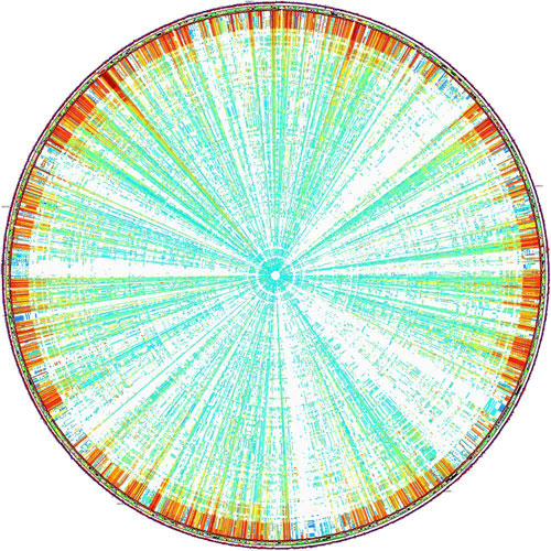 genome