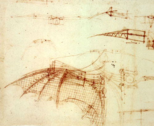 davinci_wing