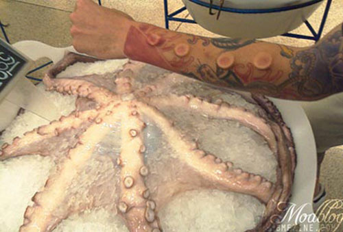 tentacle