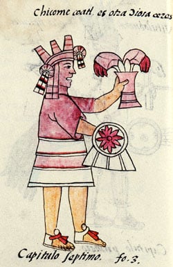 codex_chicomecoatl