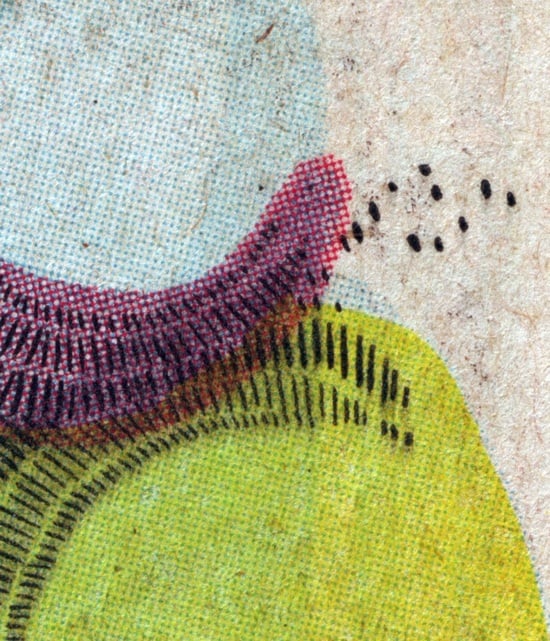 OverlappingBurstCrop1.jpg.scaled.550