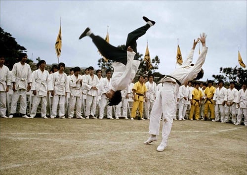 Flip-kick-bruce