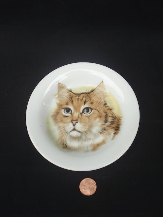 KITTY SAUCER