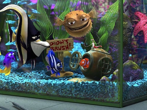 Finding-Nemo-finding-nemo-241335_1024_768