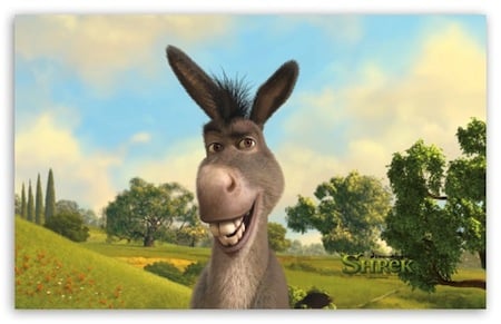 donkey shrek