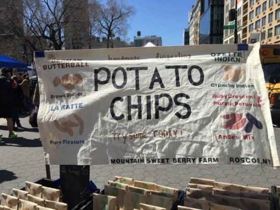 The hipster unconscious at the Union Square Greenmarket