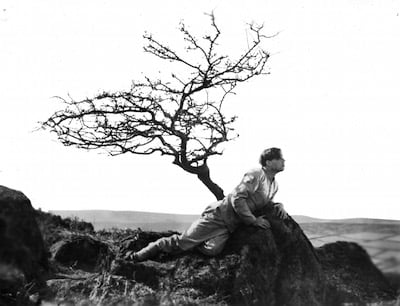 cottage-on-dartmoor