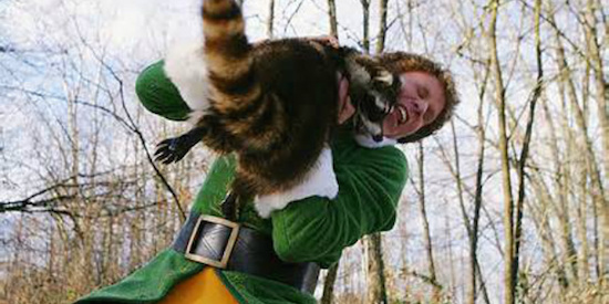 Elf-Movie-Raccoon-Hug