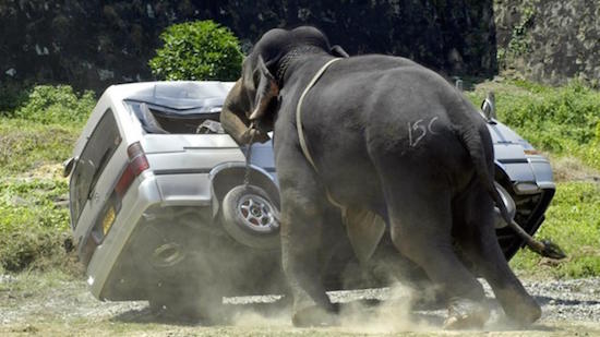 elephant-suv