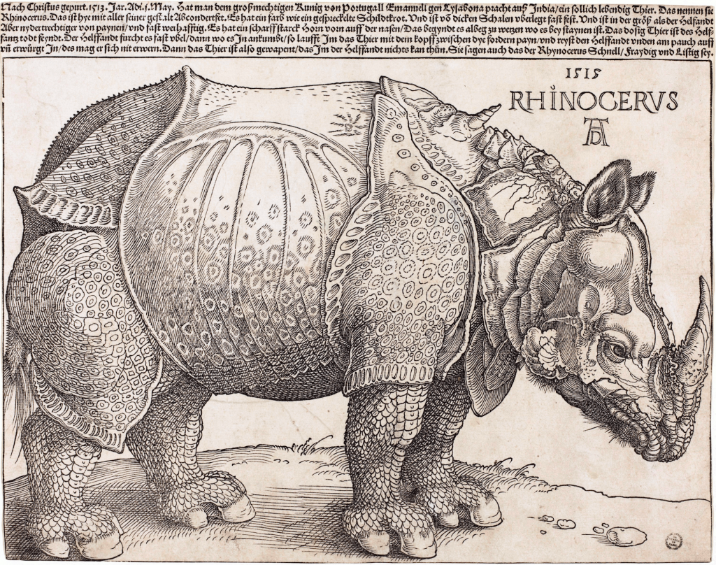 Artist Albrecht Dürer's 1515 engraving of a rhinoceros, full body in profile, looking right, with text above.