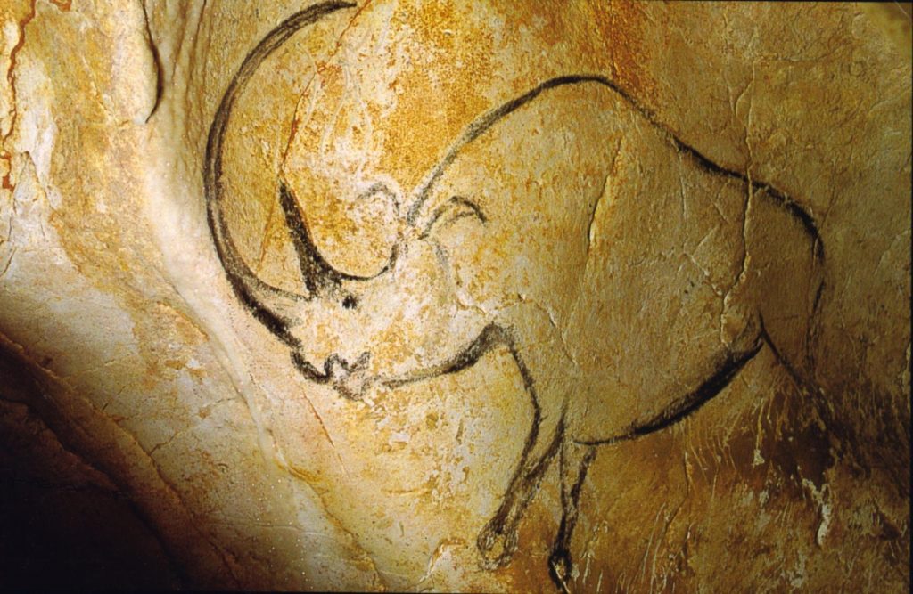 Drawing on stone of rhinoceros in profile, looking left, with elongated curved horn.
