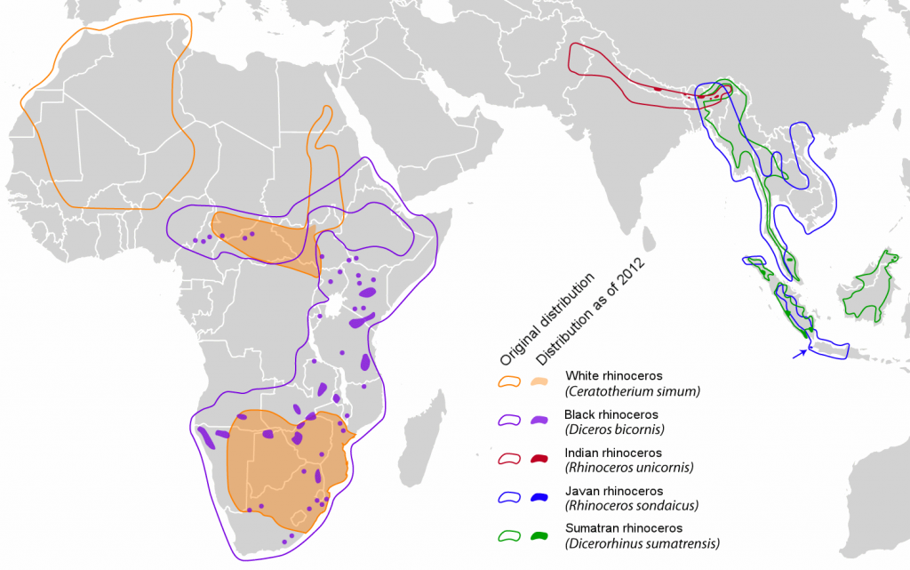 Map in gray of East Africa, the Levant, and South Asia, marked with the historic and current ranges of five rhinoceros species.